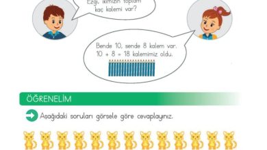 2. Sınıf Matematik Meb Yayınları Sayfa 55 Cevapları