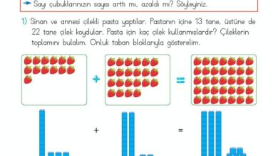 2. Sınıf Matematik Meb Yayınları Sayfa 56 Cevapları