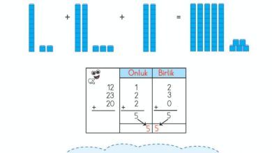 2. Sınıf Matematik Meb Yayınları Sayfa 57 Cevapları