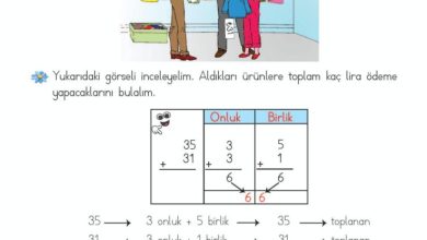 2. Sınıf Matematik Meb Yayınları Sayfa 58 Cevapları