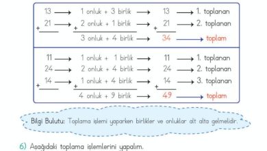 2. Sınıf Matematik Meb Yayınları Sayfa 59 Cevapları