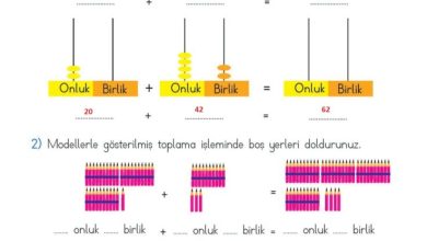 2. Sınıf Matematik Meb Yayınları Sayfa 60 Cevapları