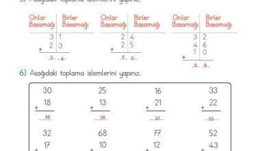 2. Sınıf Matematik Meb Yayınları Sayfa 61 Cevapları