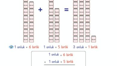 2. Sınıf Matematik Meb Yayınları Sayfa 63 Cevapları