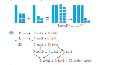 2. Sınıf Matematik Meb Yayınları Sayfa 64 Cevapları