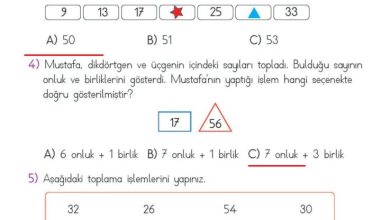 2. Sınıf Matematik Meb Yayınları Sayfa 67 Cevapları