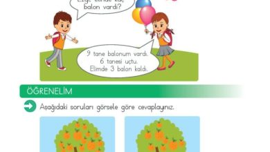 2. Sınıf Matematik Meb Yayınları Sayfa 68 Cevapları