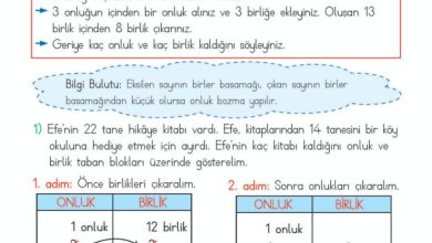 2. Sınıf Matematik Meb Yayınları Sayfa 73 Cevapları