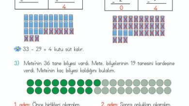 2. Sınıf Matematik Meb Yayınları Sayfa 74 Cevapları