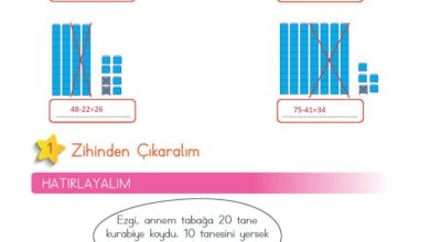 2. Sınıf Matematik Meb Yayınları Sayfa 77 Cevapları