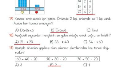 2. Sınıf Matematik Meb Yayınları Sayfa 82 Cevapları