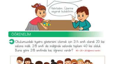 2. Sınıf Matematik Meb Yayınları Sayfa 84 Cevapları