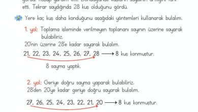 2. Sınıf Matematik Meb Yayınları Sayfa 86 Cevapları