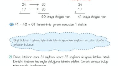 2. Sınıf Matematik Meb Yayınları Sayfa 89 Cevapları