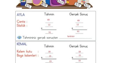 2. Sınıf Matematik Meb Yayınları Sayfa 90 Cevapları