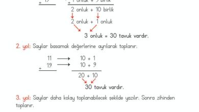 2. Sınıf Matematik Meb Yayınları Sayfa 93 Cevapları