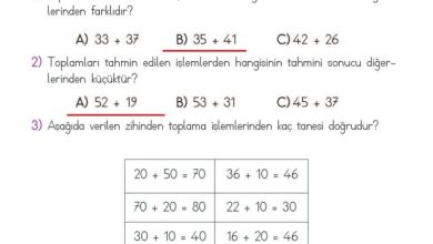 2. Sınıf Matematik Meb Yayınları Sayfa 95 Cevapları