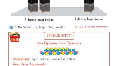 2. Sınıf Matematik Meb Yayınları Sayfa 96 Cevapları