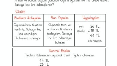 2. Sınıf Matematik Meb Yayınları Sayfa 98 Cevapları