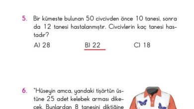 2. Sınıf Matematik Pasifik Yayınları Sayfa 100 Cevapları