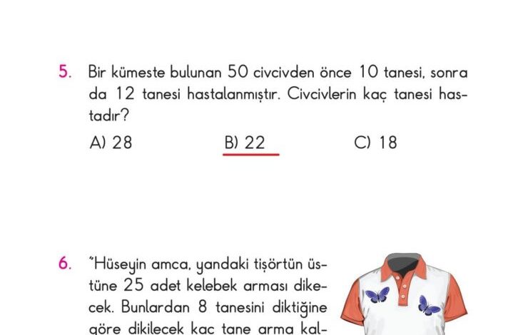 2. Sınıf Matematik Pasifik Yayınları Sayfa 100 Cevapları