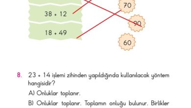 2. Sınıf Matematik Pasifik Yayınları Sayfa 101 Cevapları