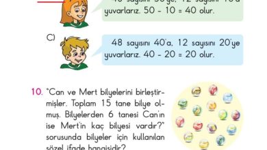 2. Sınıf Matematik Pasifik Yayınları Sayfa 102 Cevapları