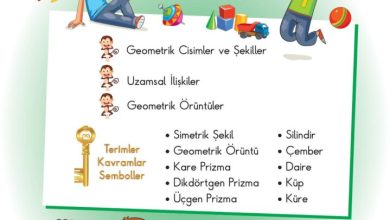 2. Sınıf Matematik Pasifik Yayınları Sayfa 103 Cevapları