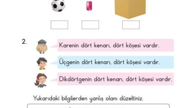 2. Sınıf Matematik Pasifik Yayınları Sayfa 104 Cevapları