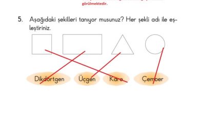 2. Sınıf Matematik Pasifik Yayınları Sayfa 105 Cevapları