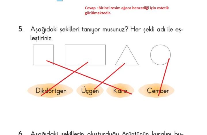 2. Sınıf Matematik Pasifik Yayınları Sayfa 105 Cevapları