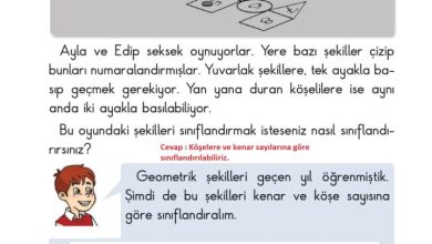 2. Sınıf Matematik Pasifik Yayınları Sayfa 106 Cevapları