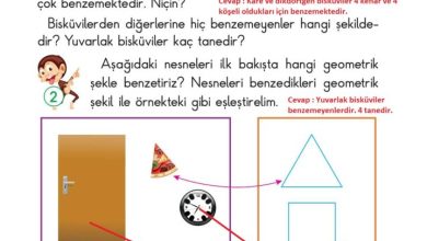 2. Sınıf Matematik Pasifik Yayınları Sayfa 107 Cevapları