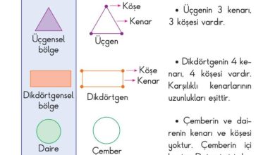 2. Sınıf Matematik Pasifik Yayınları Sayfa 109 Cevapları