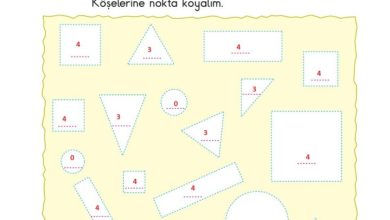 2. Sınıf Matematik Pasifik Yayınları Sayfa 110 Cevapları