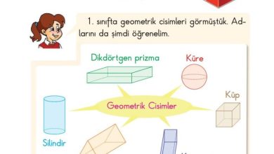 2. Sınıf Matematik Pasifik Yayınları Sayfa 114 Cevapları