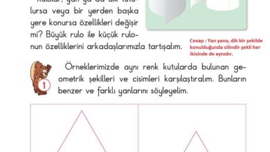 2. Sınıf Matematik Pasifik Yayınları Sayfa 116 Cevapları