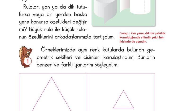 2. Sınıf Matematik Pasifik Yayınları Sayfa 116 Cevapları