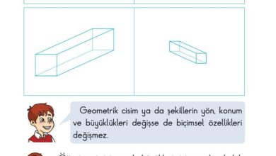 2. Sınıf Matematik Pasifik Yayınları Sayfa 117 Cevapları