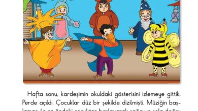 2. Sınıf Matematik Pasifik Yayınları Sayfa 118 Cevapları