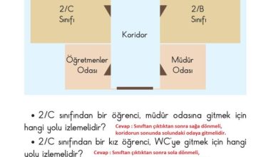 2. Sınıf Matematik Pasifik Yayınları Sayfa 119 Cevapları