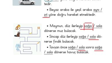 2. Sınıf Matematik Pasifik Yayınları Sayfa 120 Cevapları