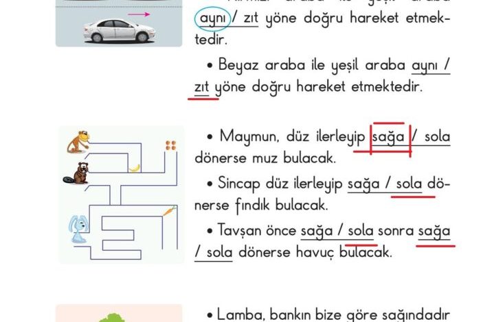 2. Sınıf Matematik Pasifik Yayınları Sayfa 120 Cevapları