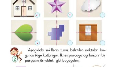 2. Sınıf Matematik Pasifik Yayınları Sayfa 123 Cevapları