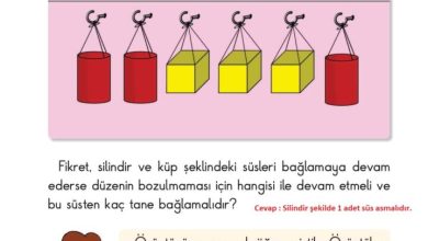 2. Sınıf Matematik Pasifik Yayınları Sayfa 124 Cevapları