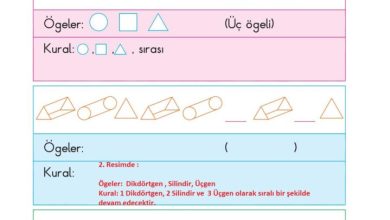 2. Sınıf Matematik Pasifik Yayınları Sayfa 125 Cevapları