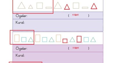 2. Sınıf Matematik Pasifik Yayınları Sayfa 126 Cevapları