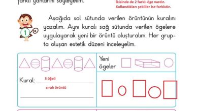 2. Sınıf Matematik Pasifik Yayınları Sayfa 127 Cevapları