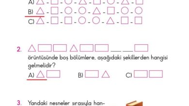 2. Sınıf Matematik Pasifik Yayınları Sayfa 129 Cevapları