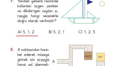 2. Sınıf Matematik Pasifik Yayınları Sayfa 131 Cevapları